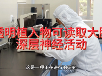 透明植入物可读取大脑深层神经活动