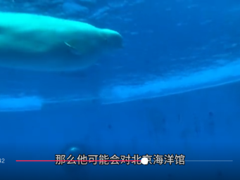 神秘买家3亿多买北京海洋馆不付钱 公司注册地在小区