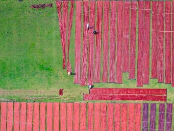 广西蒙山：天晴晾晒香云纱