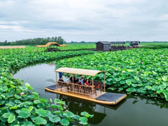 江苏兴化：打造农文旅融合田园综合体
